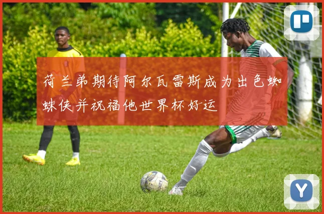 荷兰弟期待阿尔瓦雷斯成为出色蜘蛛侠并祝福他世界杯好运